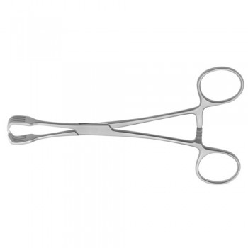 Lahey Goitre Grasping Forcep 2 x 2 Teeth Stainless Steel, 15.5 cm - 6"